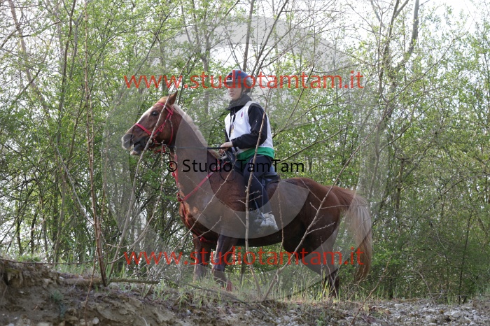 MAT_9671.JPG