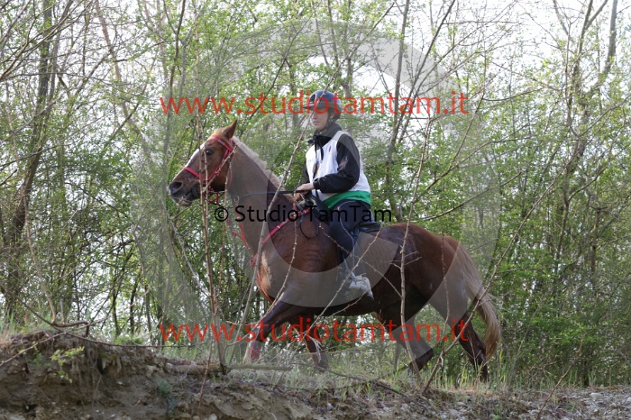 MAT_9672.JPG