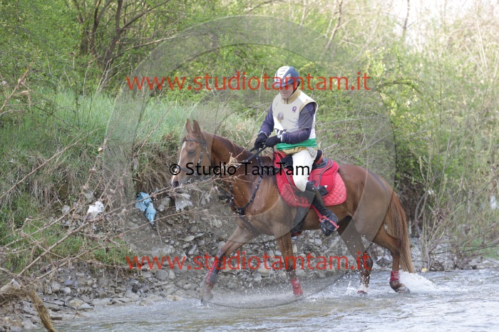 MAT_9681.JPG