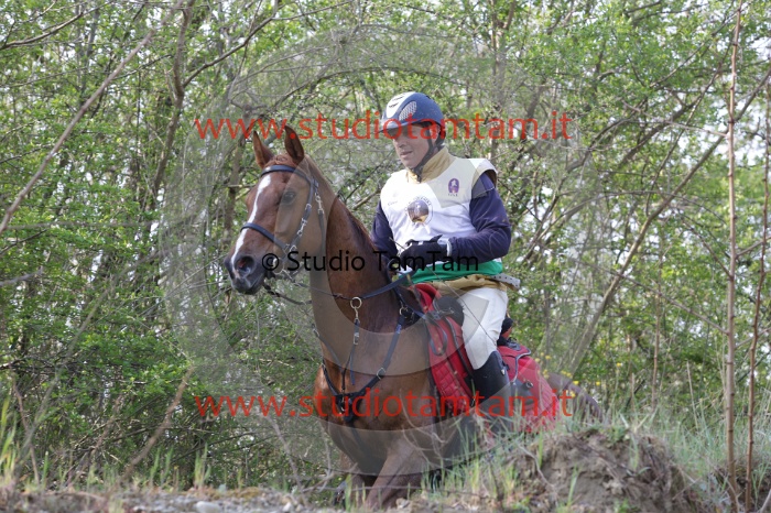 MAT_9683.JPG