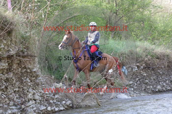 MAT_9695.JPG