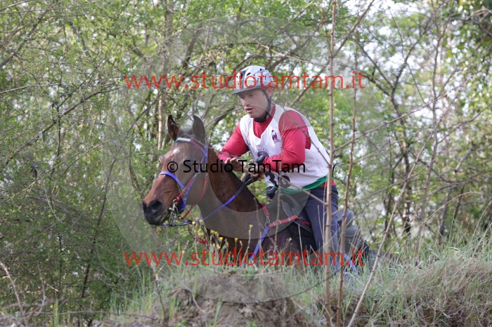 MAT_9709.JPG