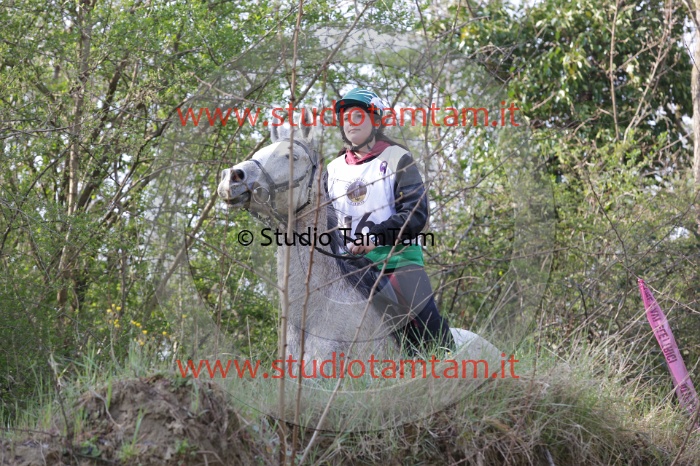 MAT_9728.JPG