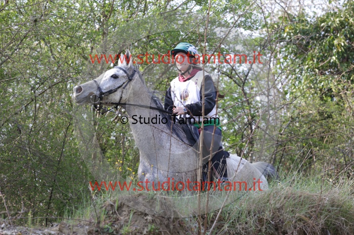 MAT_9729.JPG