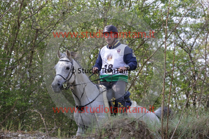 MAT_9741.JPG