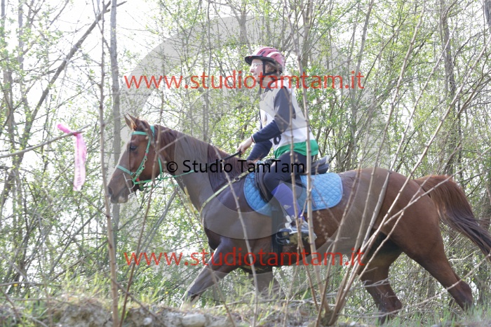 MAT_9784.JPG