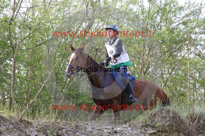 MAT_9786.JPG