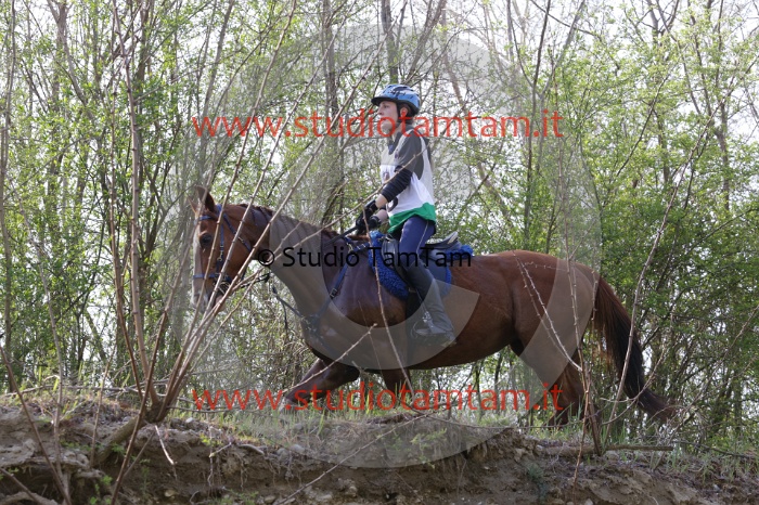 MAT_9791.JPG