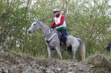 MAT_9603