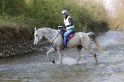 MAT_9617
