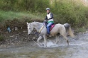 MAT_9620