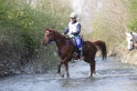 MAT_9636