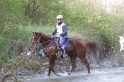 MAT_9643