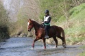 MAT_9654