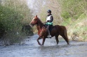 MAT_9658