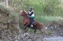 MAT_9668