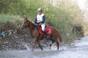 MAT_9679