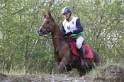 MAT_9684