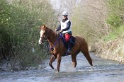 MAT_9687