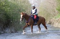 MAT_9688