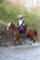 MAT_9693