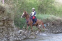 MAT_9695