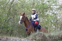 MAT_9696