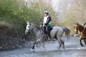 MAT_9718