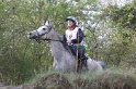 MAT_9729