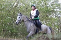 MAT_9731