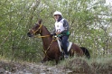 MAT_9733