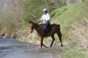 MAT_9758