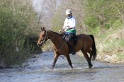MAT_9761