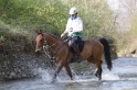 MAT_9764