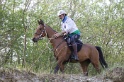 MAT_9768