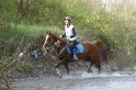 MAT_9774