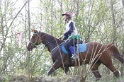 MAT_9784