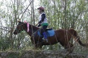 MAT_9785