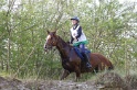 MAT_9786