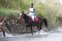 MAT_9799