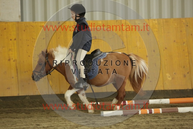 MAT_6484.JPG