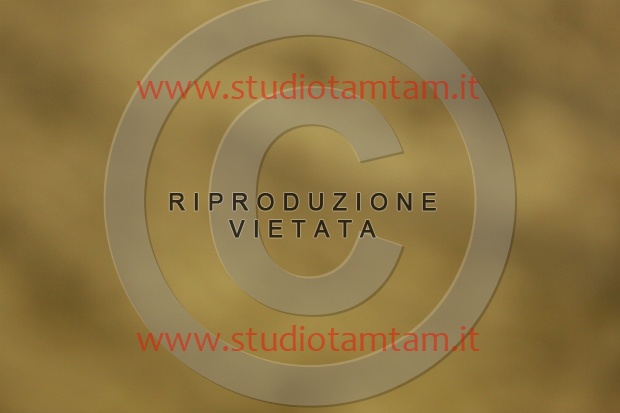MAT_6515.JPG