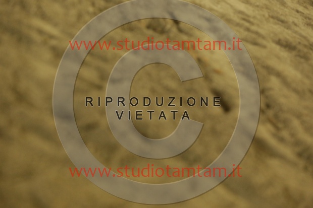 MAT_6536.JPG