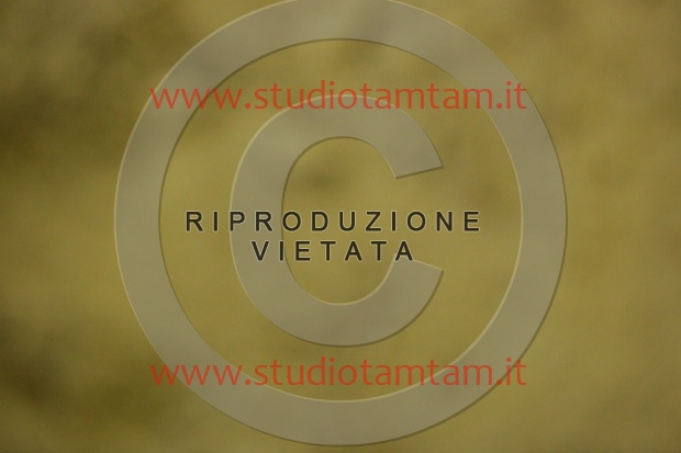 MAT_6730.JPG