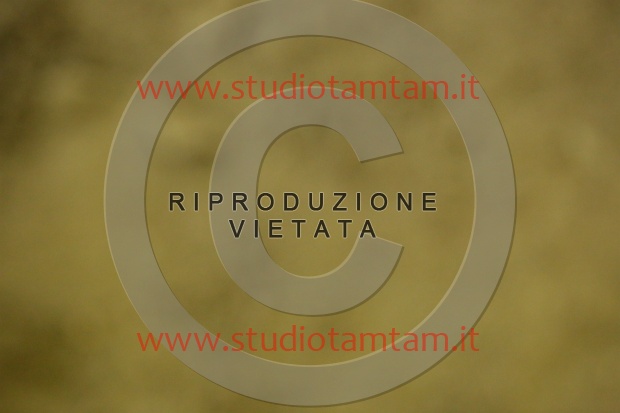 MAT_6731.JPG
