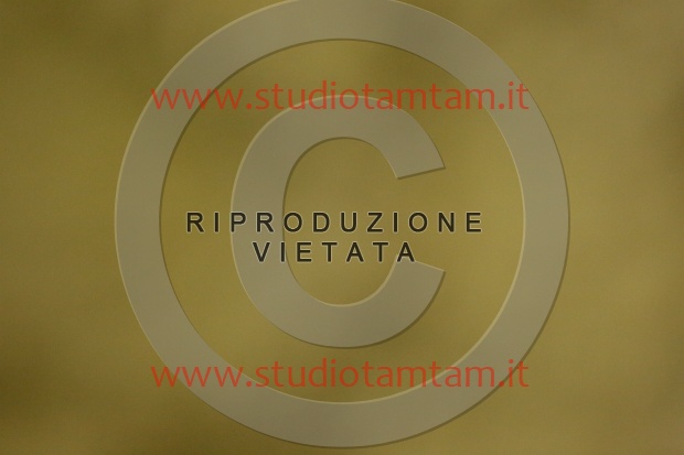 MAT_6753.JPG