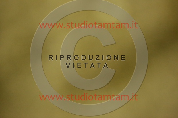 MAT_6754.JPG