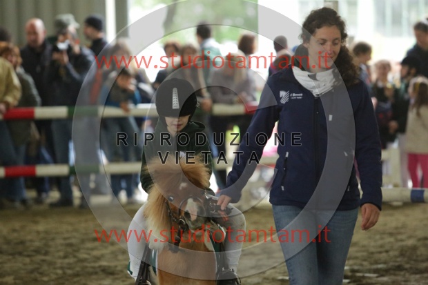 MAT_6800.JPG