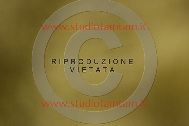 MAT_6821.JPG