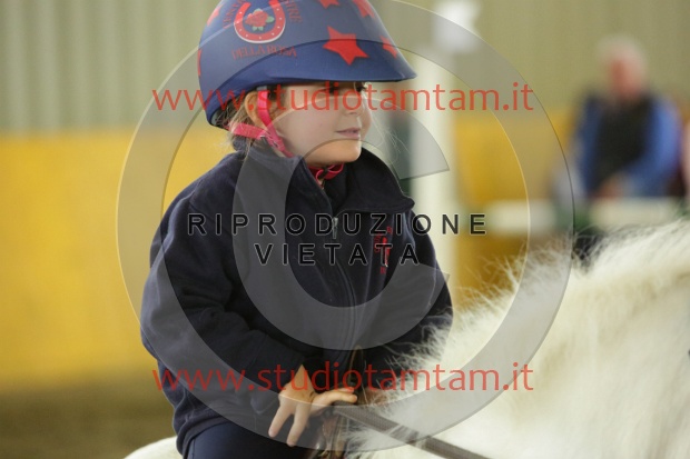 MAT_6824.JPG